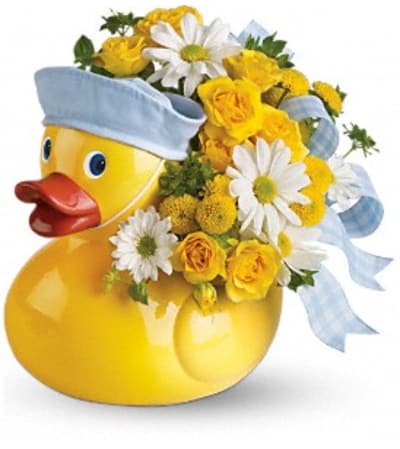 Just Ducky - Boy