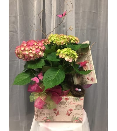 Ellington's Blooming Memory Box