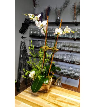 Shabby Chic Orchid