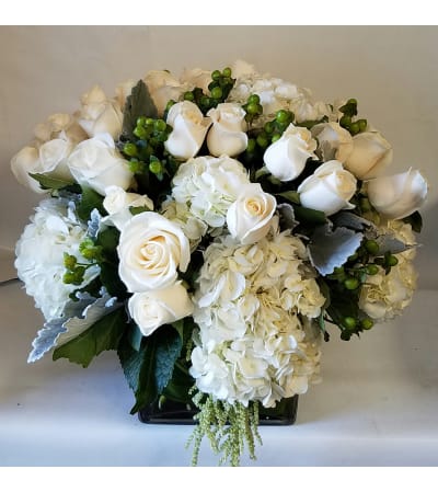 Winter White Roses
