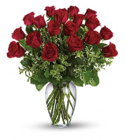 CLASSIC RED ROSES