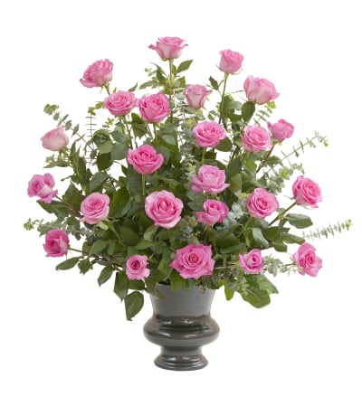 Pink Rose Supreme