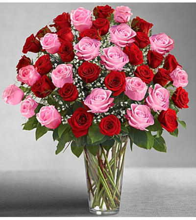 ULTIMATE ROSES
