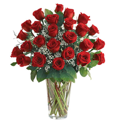 Classic 2 Dozen Red Rose