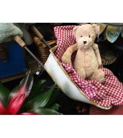 Tan Teddy
