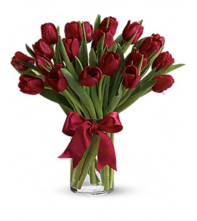 RADIANTLY RED TULIPS