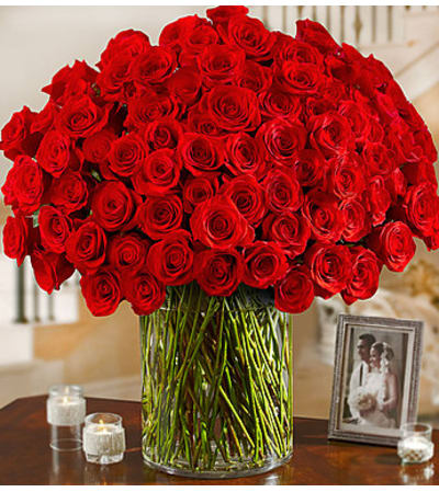 Long Stem Red Roses 100 Premium