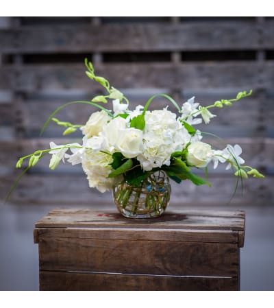 Elegant Whites