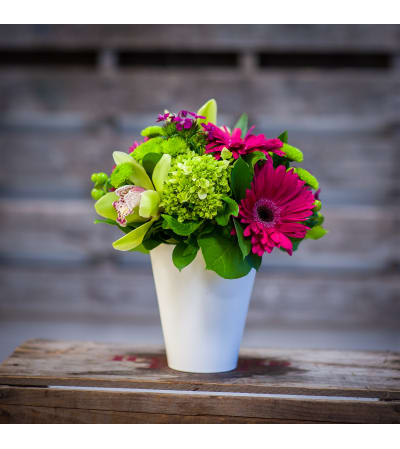 Spring Green