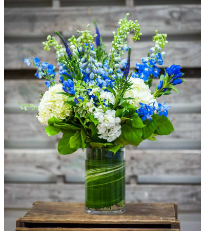 Touch Of Blue