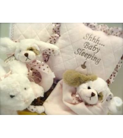 New Baby Gift Basket for a Girl