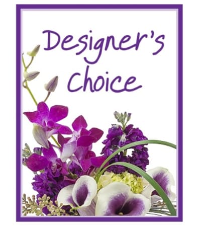 Designer's Choice