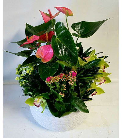 Lovely Garden Planter