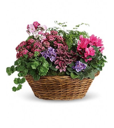 Simply chic garden