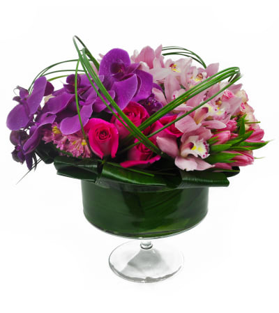 Orchimedia