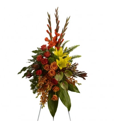 Tropical Tribute
