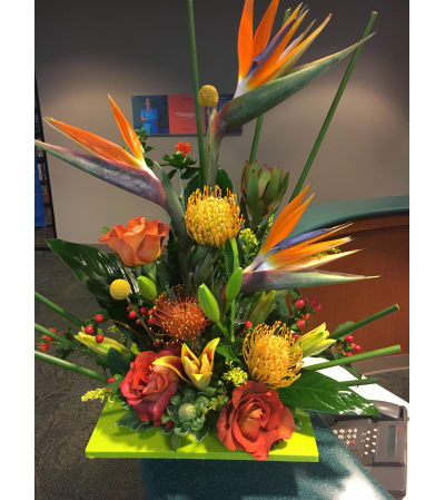 A Burst of Tropicals