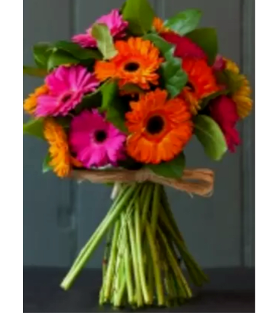 Summer Gerbera Daisies