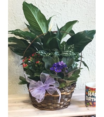 Blooming Dish Garden