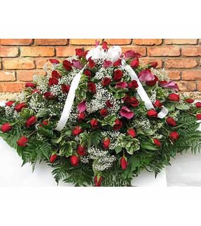 Red Roses