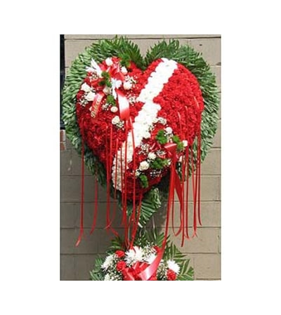 Broken Heart with White Carnation Break