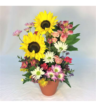 Sunflower Smiles