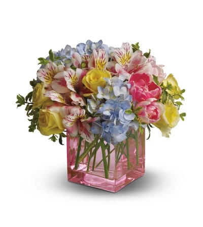 Spring Sweetness