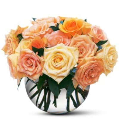 Perfectly Pastel Roses
