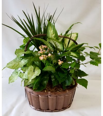 English Garden Planter #9