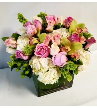 Summer Pinks