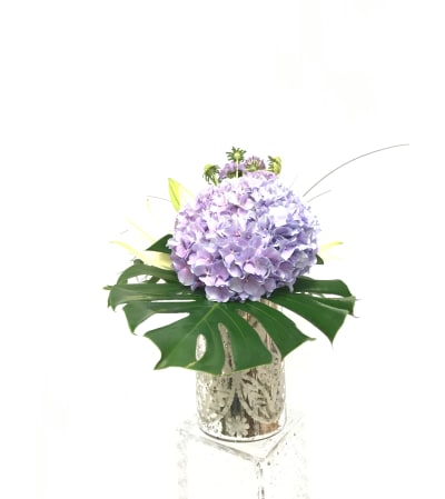 Purple Hydrangea