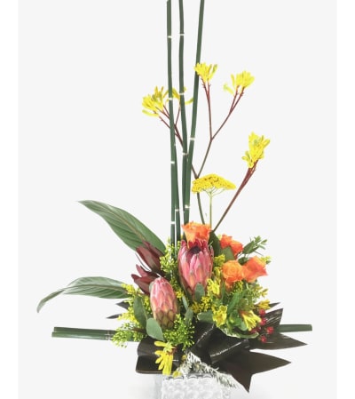 Mink Protea