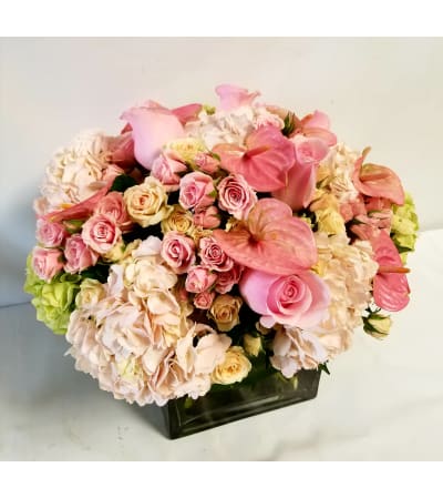 Precious Pink Blossoms