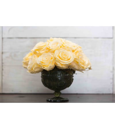 Preserved Rose Arrangement