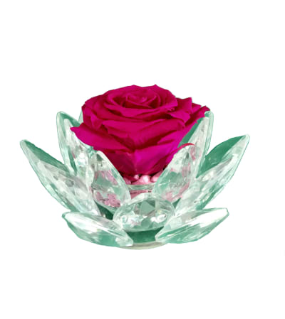Forever Rose - Crystal Bloom