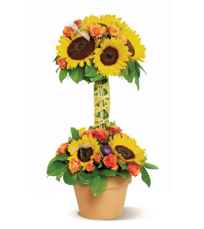 a gift of summer