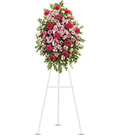 Teleflora - Pink Tribute Spray
