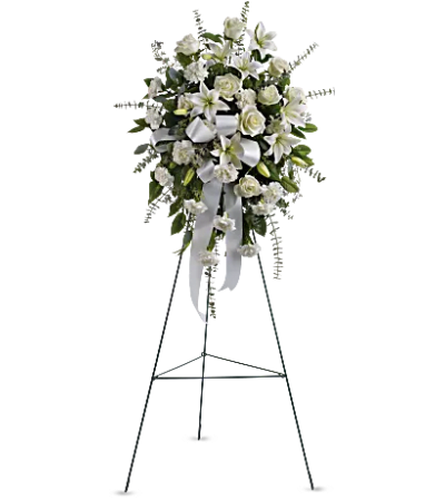 Teleflora - Sentiments of Serenity Spray