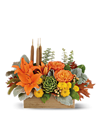 FALL GARDEN