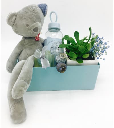 Baby Boy Kids Basket