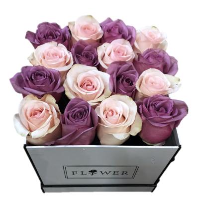 Pink and Purple Haven