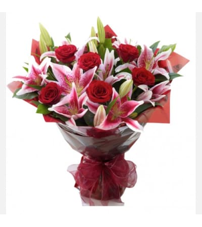 lily mania