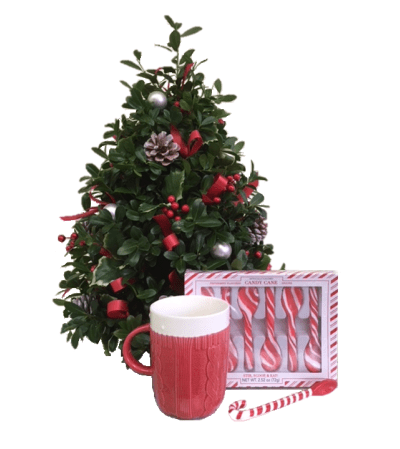 Celebration Flower Tree Gift Set