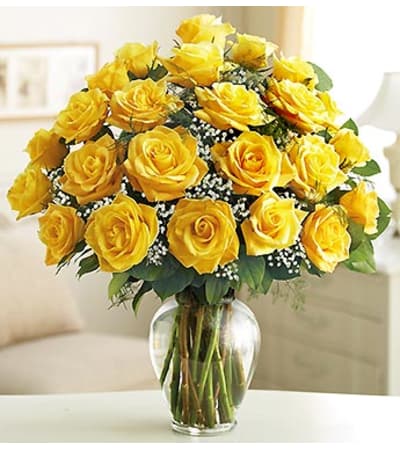 Yellow Roses