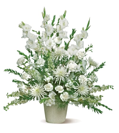 white tribute spray