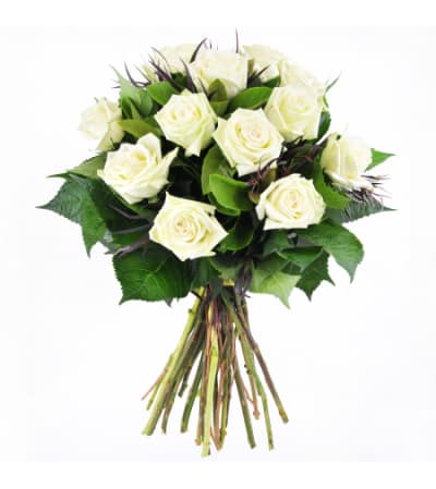 12 WHITE ROSE