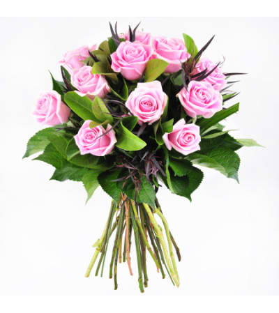 12 PINK ROSES