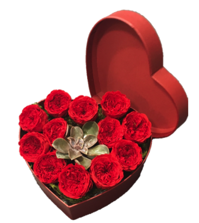 12 Preserved Red Rose Heart Box with Succulent