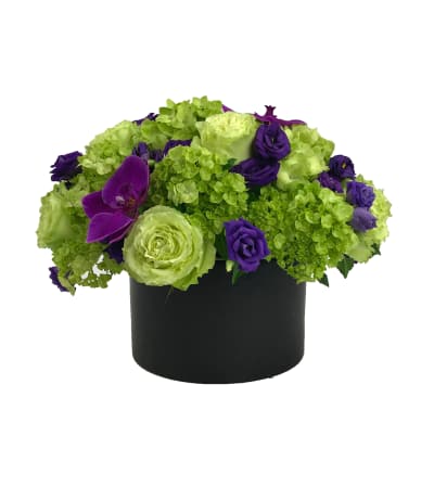 Purple Garden