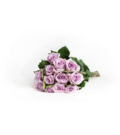 One Dozen Purple Roses